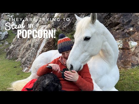 Freedom on Dartmoor, topped of with a Movie & campfire Popcorn!