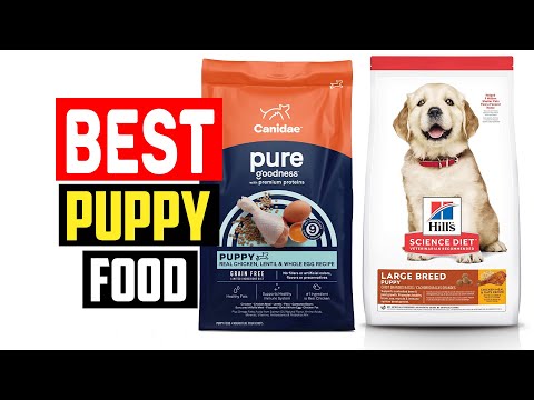 ✅ Top 5 Best Puppy Food in 2023