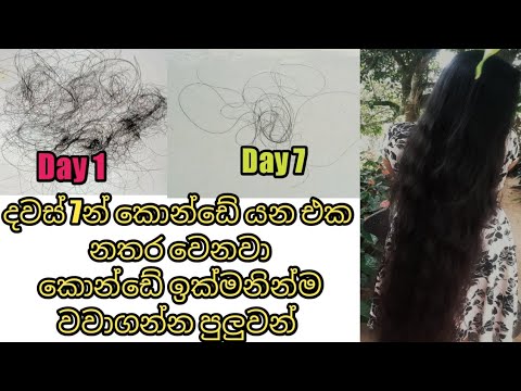 Stop  hair fall naturally /How to grow hair faster sinhala /Best hair oil for  hair  loss