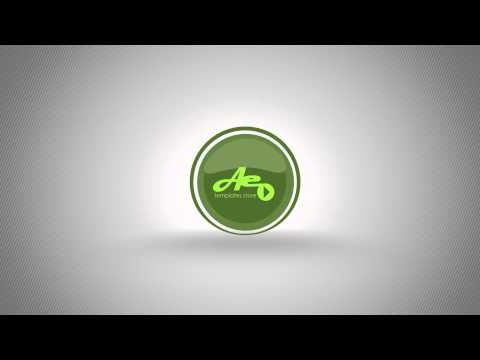 2D Logo After Effects animation Project & Templates