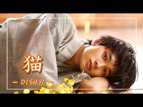 【中日羅歌詞】『猫』/ DISH// （北村匠海）｜『neko』/ DISH//（Kitamura Takumi）