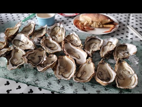 【英國飲飲食食】英國食生蠔 Ireland Oyster