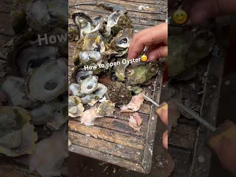 HOW TO OPEN OYSTERS I DO YOU LIKE IT? #like #oysters #seafoodrecipes #food #share #yum