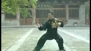 张东武老师新架一路完整演示 New Form Routine One Complete Demonstration by Master Zhang Dong Wu