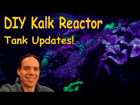 Adding a DIY KalK Reactor and Tank Updates