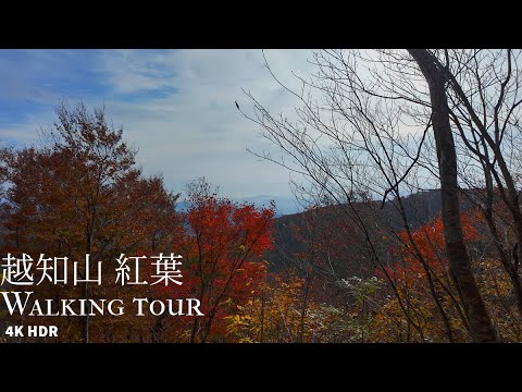 Mt.Ochi walk in autumn leaves Japan 4KHDR 紅葉の越知山 散策 福井県