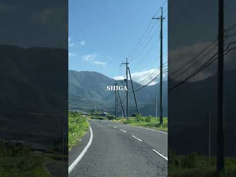 【滋賀】高島で緑を浴びる🌲