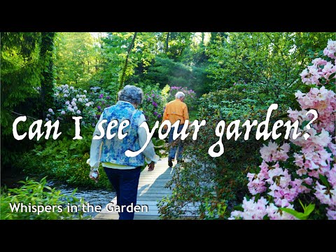 I discovered something unimaginable in those gardens