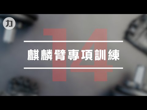 【Day14】麒麟臂專項訓練-EIPT訓練法