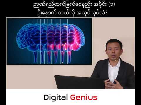 ဉာဏ်ရည်ထက်မြက်စေနည်း အပိုင်း(၁)  How Brain Work