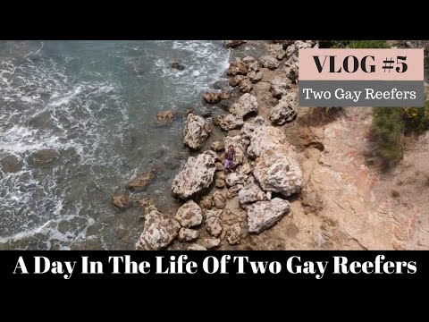 A Day in the Life of Two Gay Reefers - VLOG #5