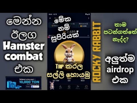 New telegram airdrop in sinhala. Rocky rabbit airdrop.