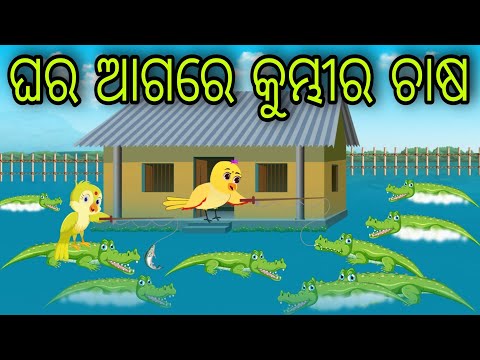 ଘର ଆଗରେ କୁମ୍ଭୀର ଚାଷ | Ghara Agare Kumbhira Chasa | Tiki Chadhei Gapa | Odia Chadhei Gapa | New Story