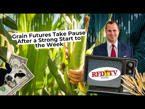 Grain Futures Take Pause After a Strong Start to the Week