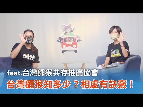 《台灣心事》EP76.20220721台灣獼猴知多少？#台灣獼猴共存推廣協會 秘書長－林美吟報齁哩災！