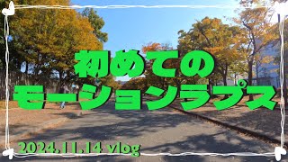 🐿️紅葉間近の長居公園に行って来ました。