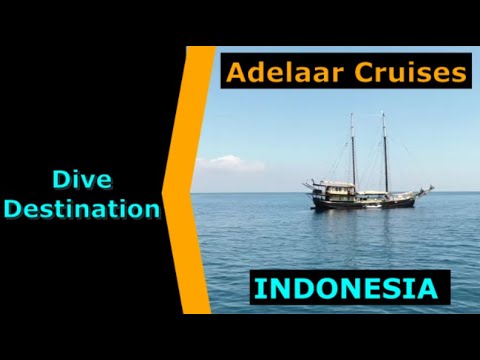 Diving Indonesia, Adelaar Cruises, Destination Spotlight for Scuba.Digital The #1 Online Dive Show