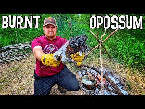 All My Food on Fire! 12 Day Survival Challenge - Day 6