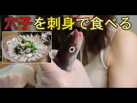 でっかい穴子を刺身で食べる！穴子の活き締め