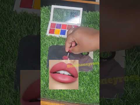 Day 10/lipstick shades mixing challenge/#renuhoneyrose #shortsviral #lipstickshade l