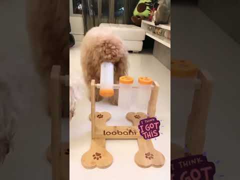 Funny puzzle toy