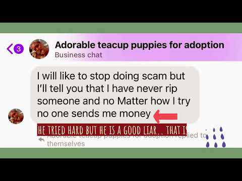 Fake Pet scams