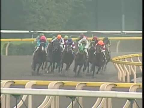 2002年4月21日 東京9R テレビ埼玉杯 チゴイネルワイゼン