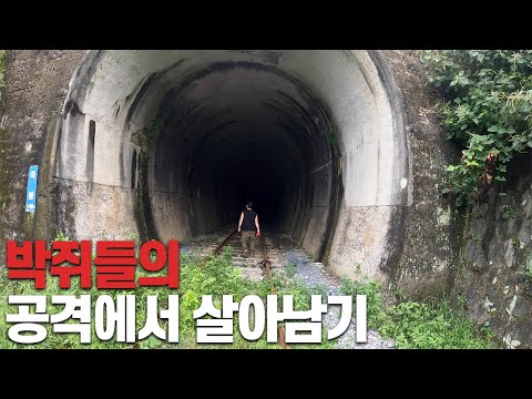 Explore an abandoned tunnel 40 years after it was abandoned