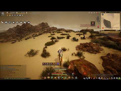 Black Desert Online - Nacario tries to buy TET: Orkinrad's belt