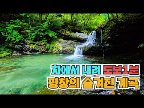 차에서 내려 도보 1분이면 도착! 평창의 숨겨진 계곡 여행! 한적하고 여유롭게 즐길 수 있는 곳입니다.