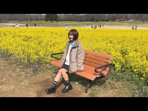 菜の花が似合う女の子出てこいやぁぁぁああ！！【2024春】