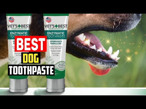 ✅ Top 5 Best Dog Toothpaste in 2023