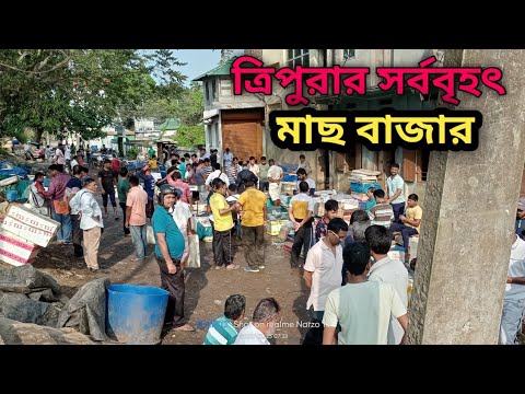 চলুন আপনাদেরকে ঘুরিয়ে নিয়ে আসি ত্রিপুরার সবচেয়ে বড় মাছ বাজার থেকে ❤🐠