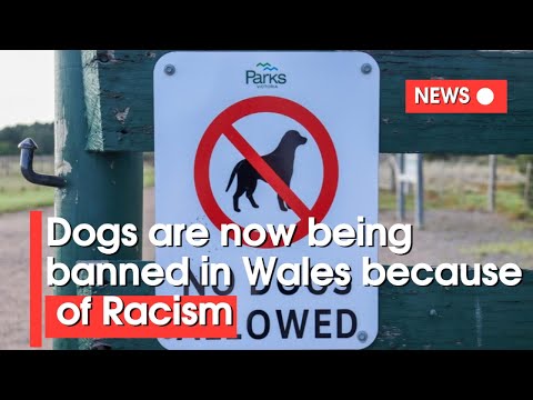 Wales: Dogs banned in countryside because RACISM