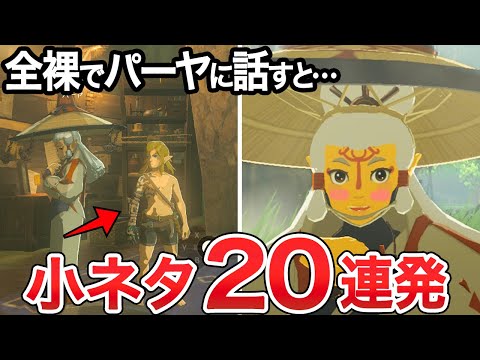 【ティアキン】開発者が隠した細かすぎる小ネタ20連発【ゼルダ】