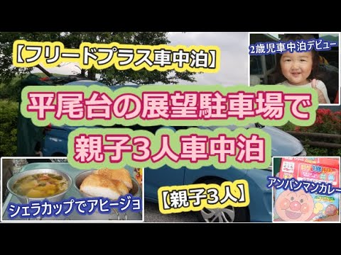 【フリードプラス車中泊】平尾台の展望駐車場で親子3人車中泊したのでゆっくり実況【2歳娘デビュー戦】