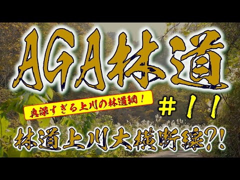 ⭐AGA林道　＃ 11 　林道上川大横断線?!　　（林道野中夷棚線・中山線・大倉峠線・山中線）