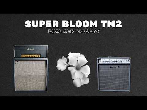 SUPER BLOOM // Dual Amp Tone Match Gen2 Presets