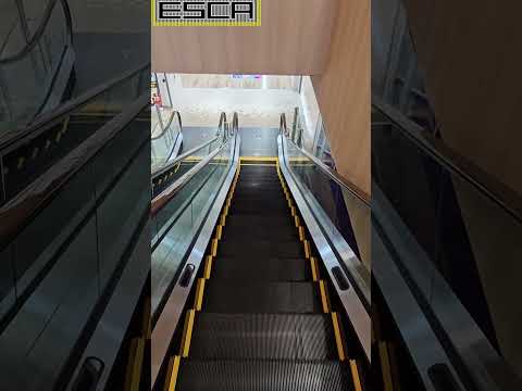 [New!] Cross Mukogaoka Escalator R-3F #shorts