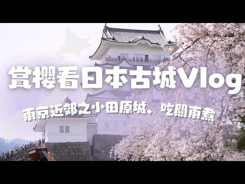 【第一視角遊日本】神奈川小田原城賞櫻花看古城Vlog｜東京近郊一日遊必去景點推薦～｜日本旅遊｜4K｜旅遊Vlog