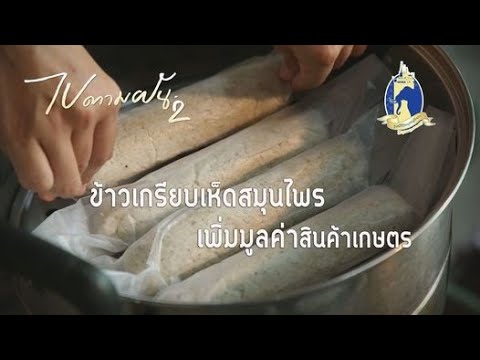 ไปตามฝัน 2 ตอน ข้าวเกรียบเห็ดสมุนไพร เพิ่มมูลค่าสินค้าเกษตร