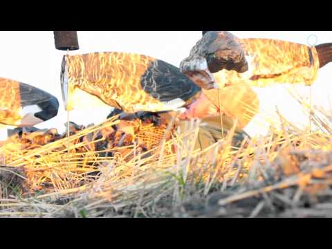 Morning Storm Outdoors Presents: Deadly® Decoys