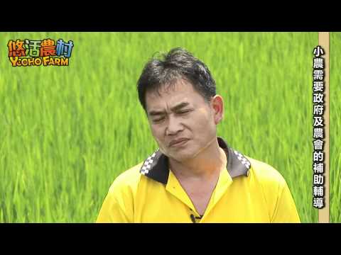 【悠活農村】小農很難享受到農會碾米及冷藏的服務