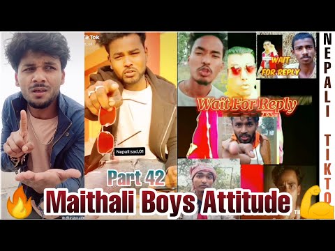 Dhiru Bhai And Other Tiktoker (🔥 Maithali Boys Attitude 💪) Part 42 Best Dialogue,Shayari  & Attitude