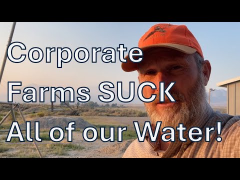 My well went dry: Corporate farms suck all the water out of the aquifer and us poor folk pay for it