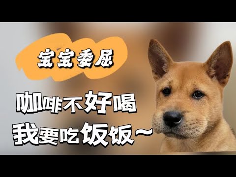 【闲聊向】manner咖啡顾客与店员|咖啡与经济|打工人的崩溃 阿福的眼泪