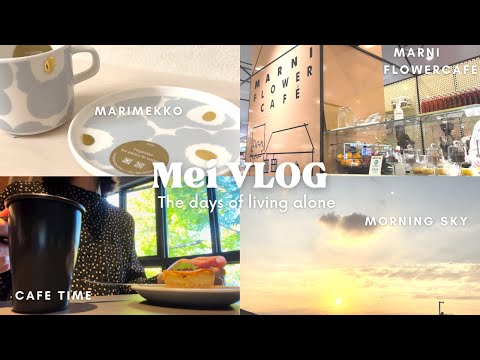 【vlog】アラフォーOLの平凡でマイペースな日常5日間|素敵なカフェへ☕️🍂