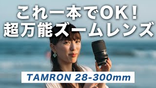 【おすすめレンズ】旅レンズに最適！TAMRON 28-300mm F/4-7.1 Di III VC VXDが広角から超望遠までこれ一本【これからの新定番レンズ】