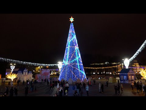 Новогодние огни зажгли на главной елке страны