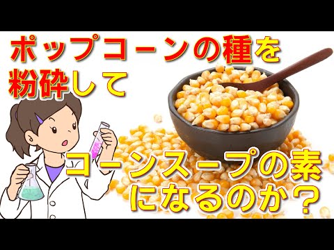 ポップコーンの素を粉砕して、コーンスープが作れるのか実験！